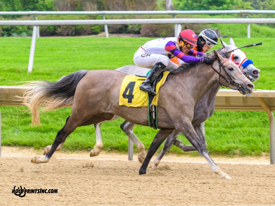 Iridesse winning at Delaware Park on 5/4/19